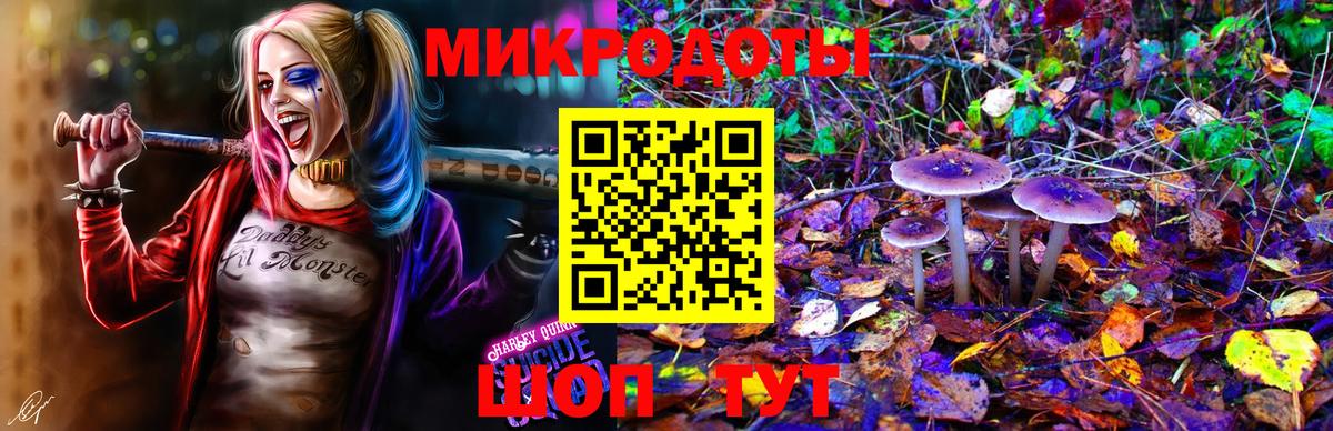 Беслан  Галлюциногенные грибы Psilocybe  Вход с VPN 